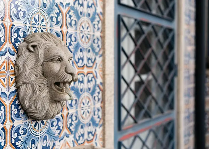 Office Suits In Flores By D&s